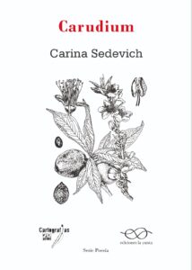 Carina Sedevich, portada poemario