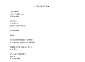 Despedida, de Alejandro Schmidt