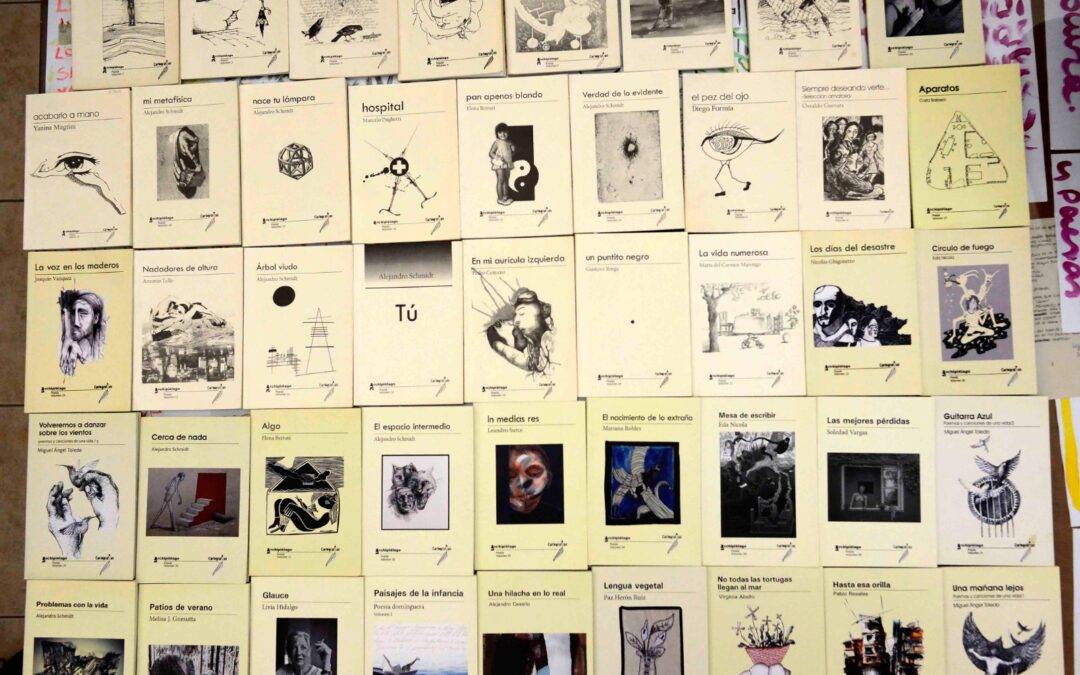 Editorial Cartografías nació hace 20 años con el apoyo del Fondo Nacional de las Artes