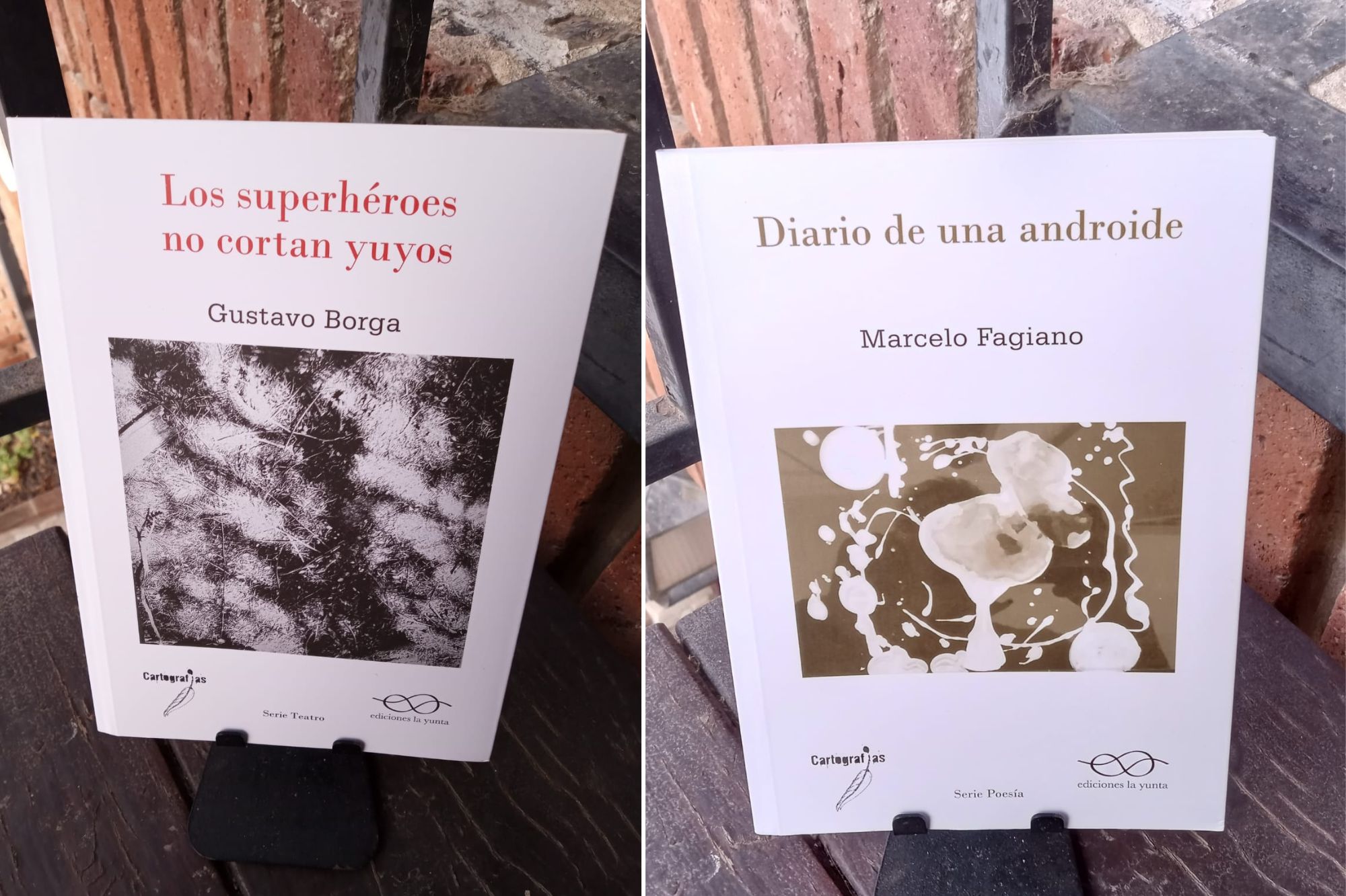 Dos libros en coedición con Ediciones La Yunta.