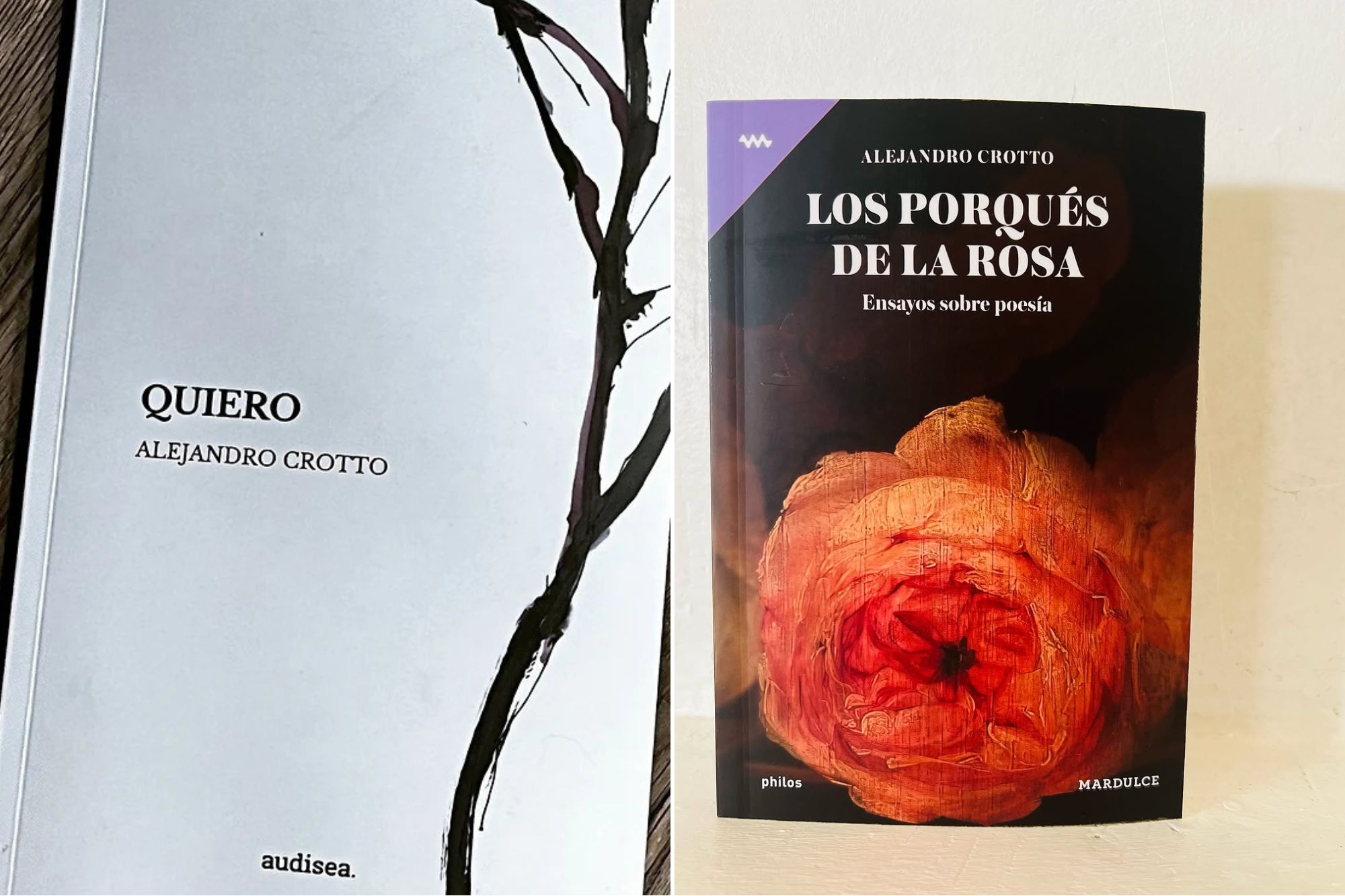Libros de poesía de Alejandro Crotto, por Pablo Dema