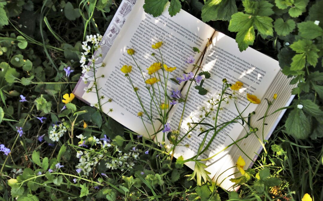 Los libros de Cartografías editados en 2024