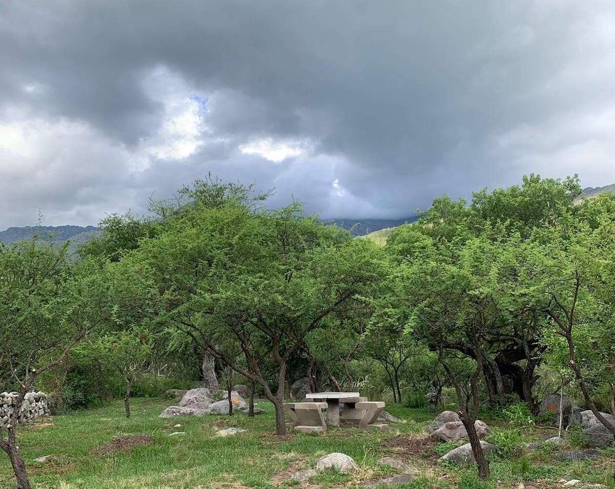 Bosque de la poesía