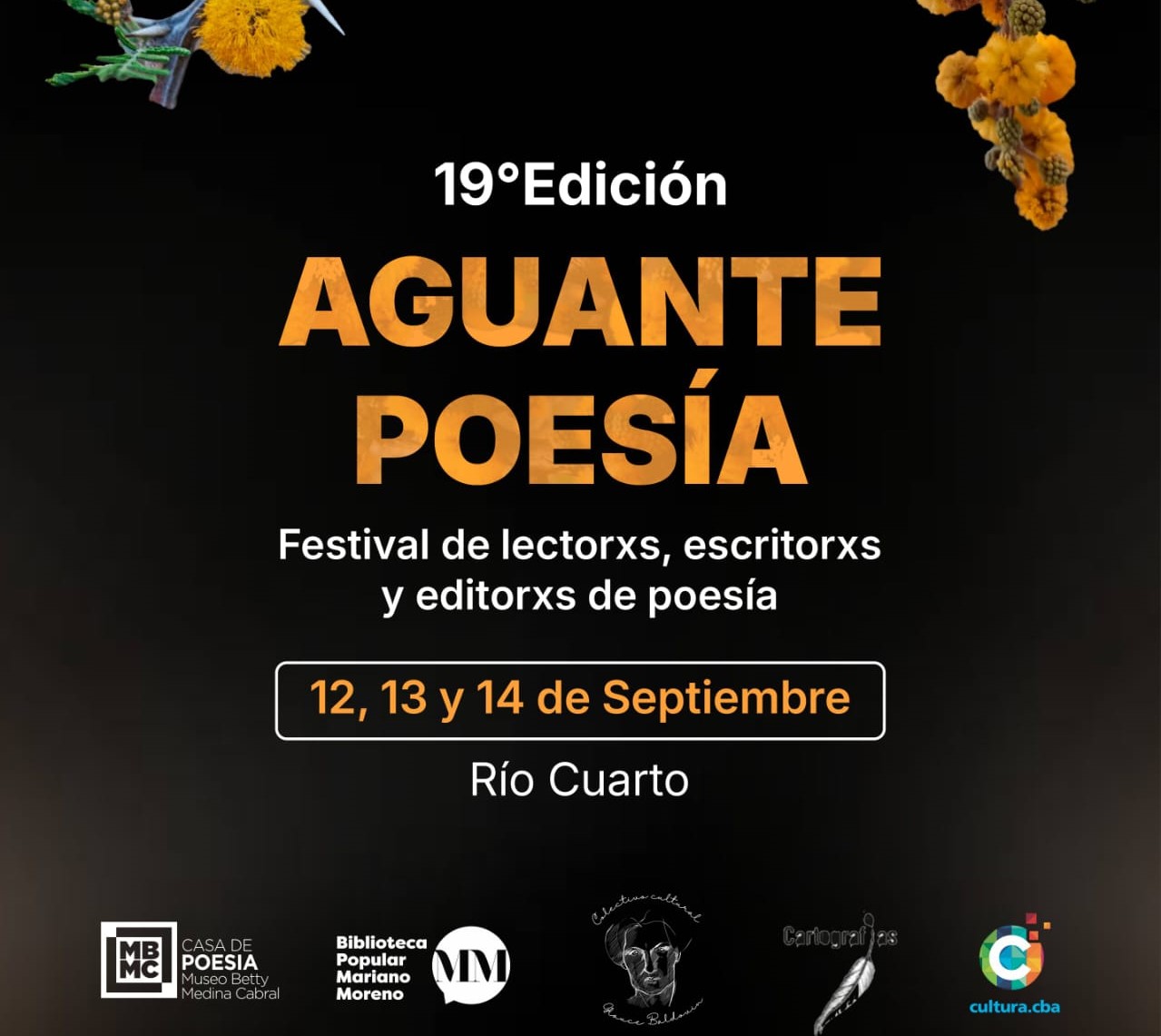 Aguante Poesía