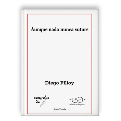 Aunque nada nunca suture, de Diego Filloy