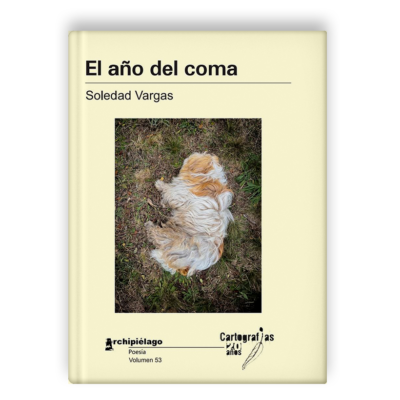 El año del coma, de Soledad Vargas