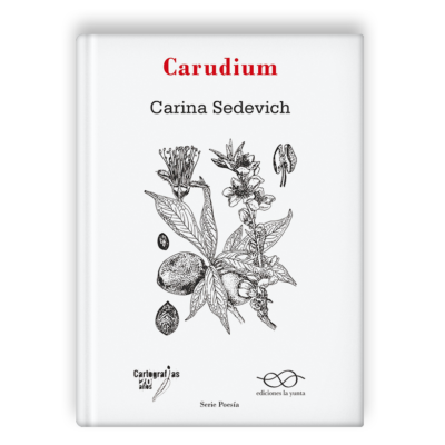 Carudium, de Carina Sedevich