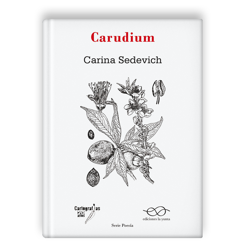Carudium, de Carina Sedevich